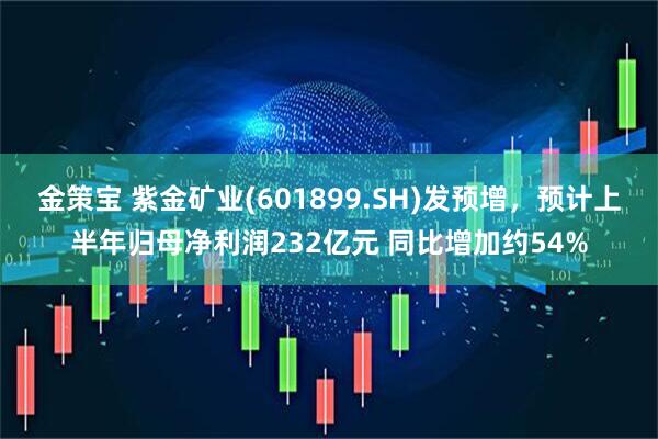 金策宝 紫金矿业(601899.SH)发预增，预计上半年归母净利润232亿元 同比增加约54%