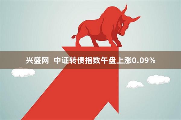 兴盛网  中证转债指数午盘上涨0.09%