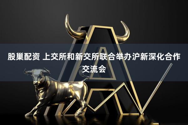 股巢配资 上交所和新交所联合举办沪新深化合作交流会