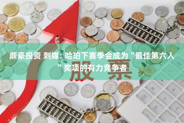 鼎豪投资 刺媒: 哈珀下赛季会成为“最佳第六人”奖项的有力竞争者